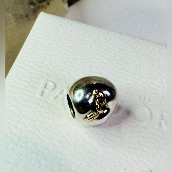 Authentic Retired Pandora Apple of My Eye Two Tone 14k & S925 Ale Charm - Picture 2 of 14